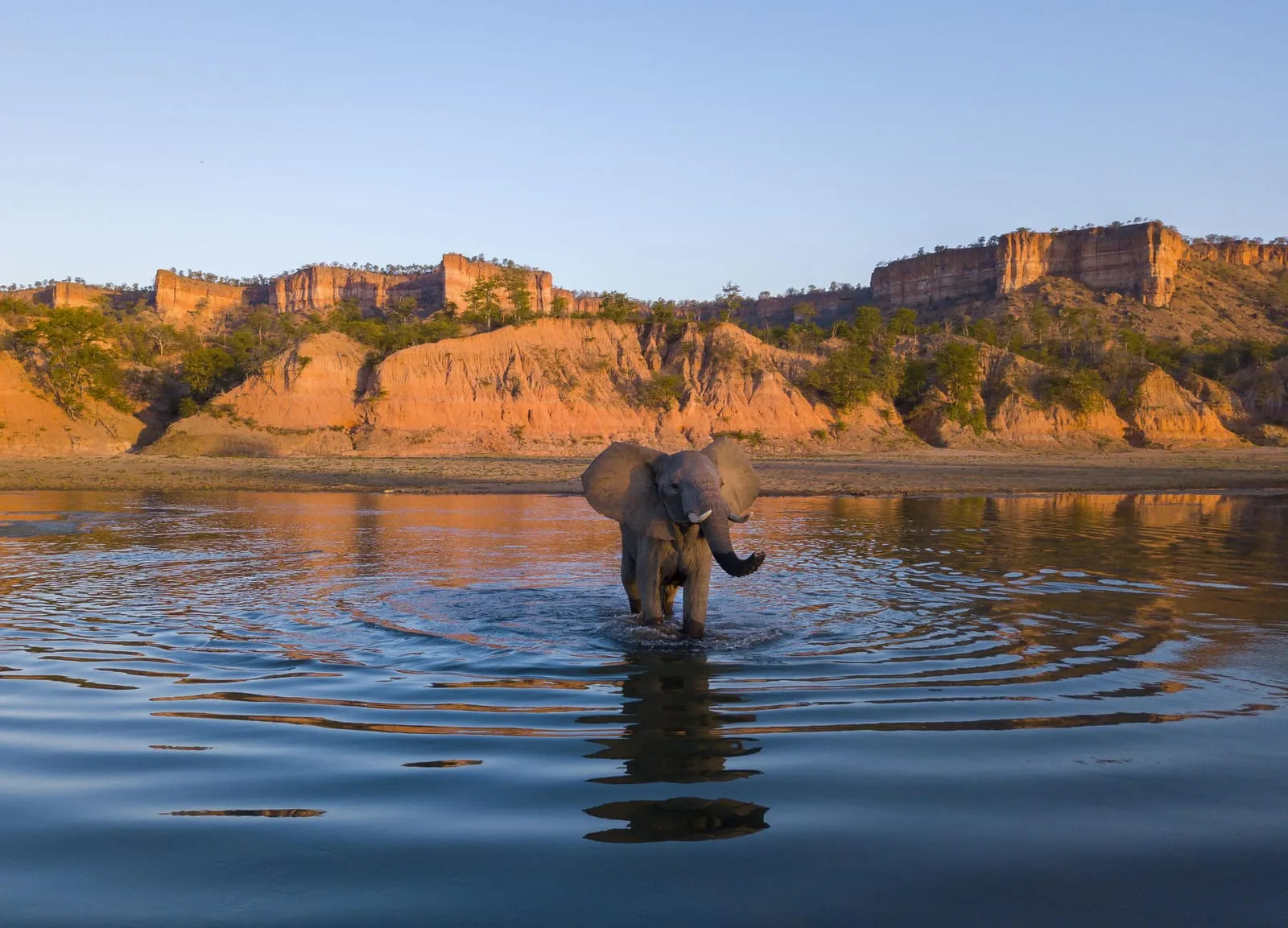 An elephant in the river below the red Chilojo Cliffs in Gonarezhou