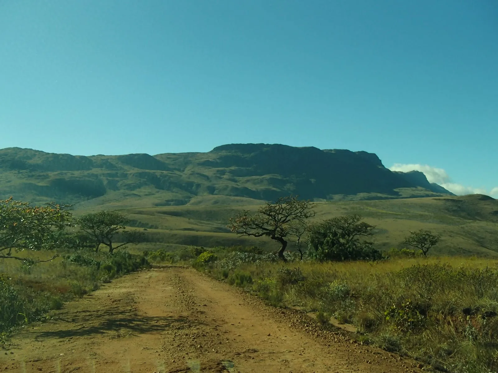 Grassland below the slopes of Mount Nyangani