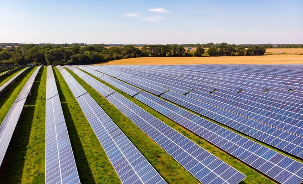 Rows of solar panels in a solar farm