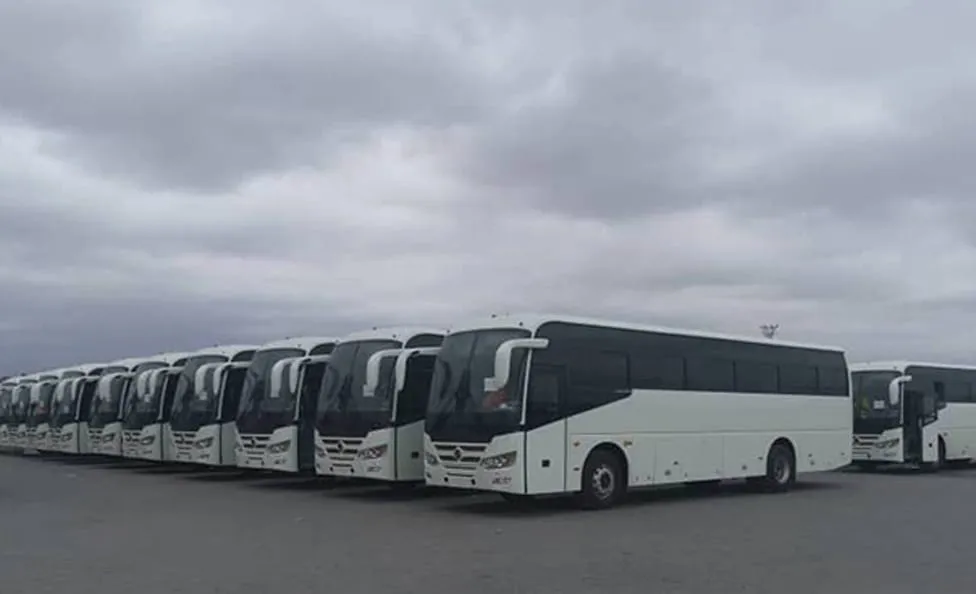 A row of new buses
